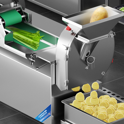 Vegetable & Fruit Processing Equipment