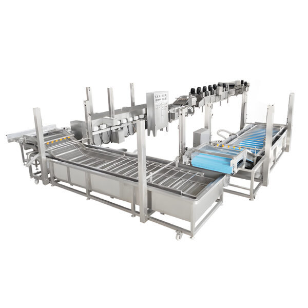 Fresh-Cut Vegetable Processing Line KN-101TS
