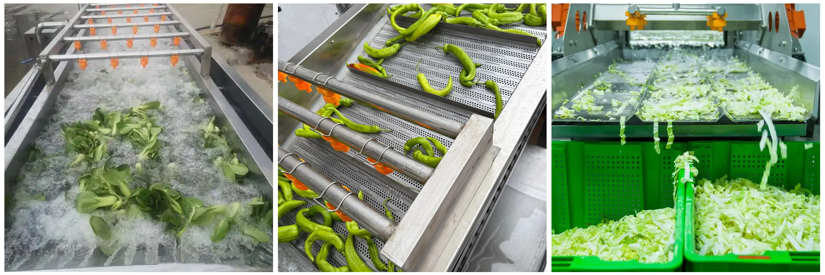 kn101ts-vegetable-processing-line-processing-effect