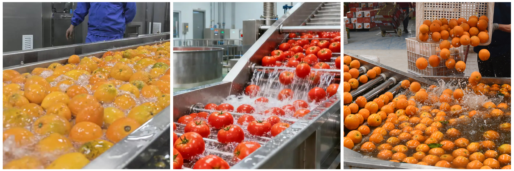 kn102ts-fruit-processing-line-processing-effect