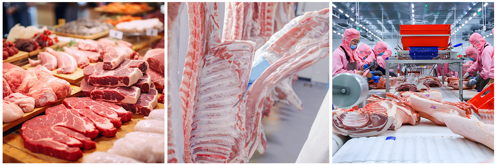 kn104ts-meat-processing-line-processing-effect