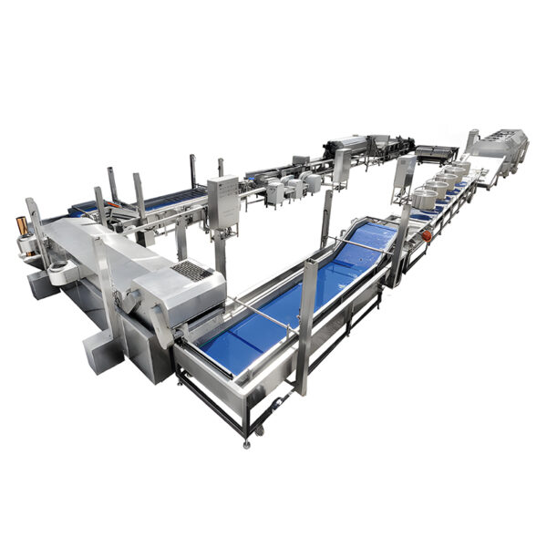Automatic Potato Chips Production Line KN105TS