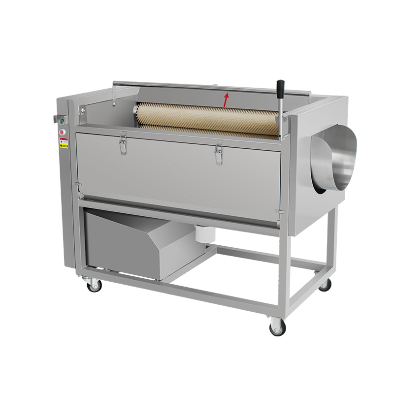 Brush Roller Vegetable Washing & Peeling Machine KN-1500A