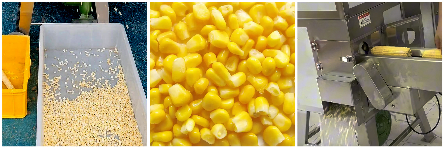 kn268-corn-kernel-removing-machine-processing-effect