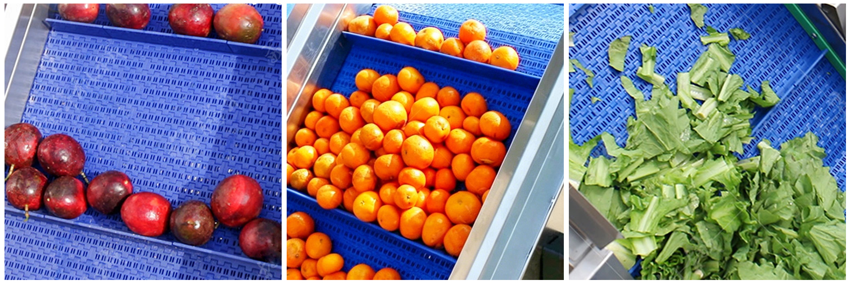 kn310-elevating-conveyor-processing-effect