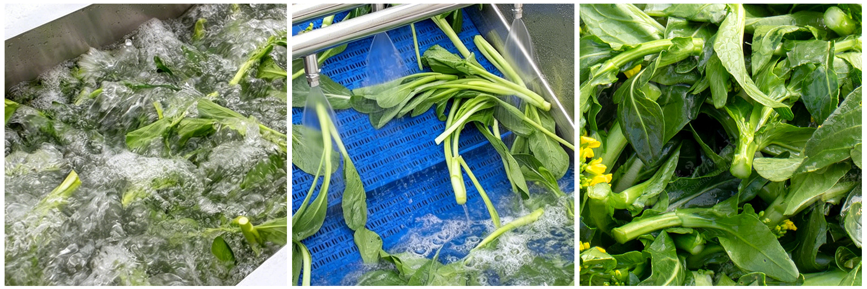kn606-vegetable-washing-machine-processing-effect