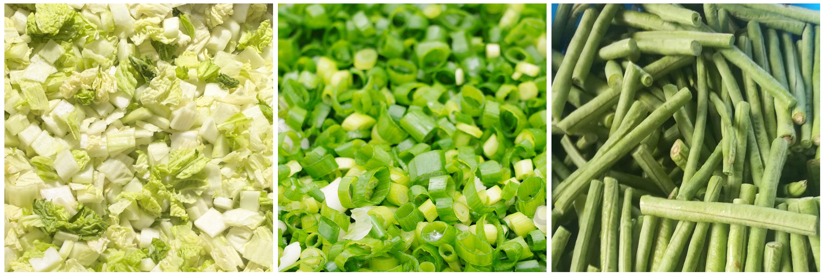 tabletop-vegetable-cutting-machine-kn-802-processing-effect