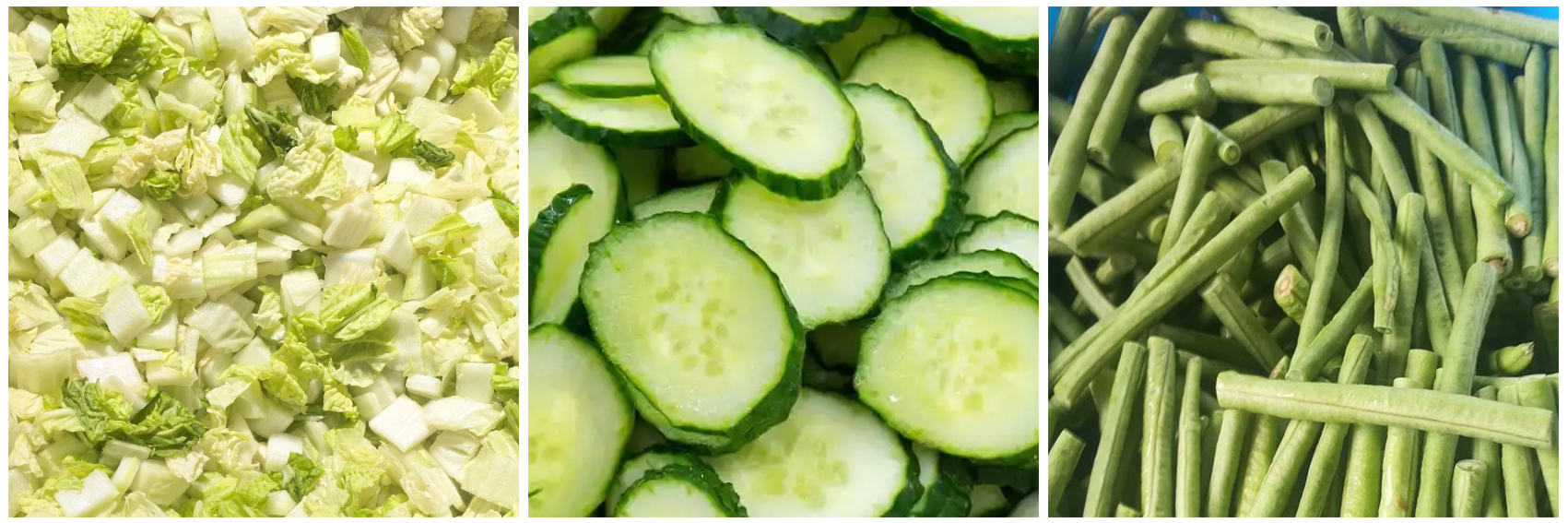 kn805-vegetable-cutting-machine-processing-effect