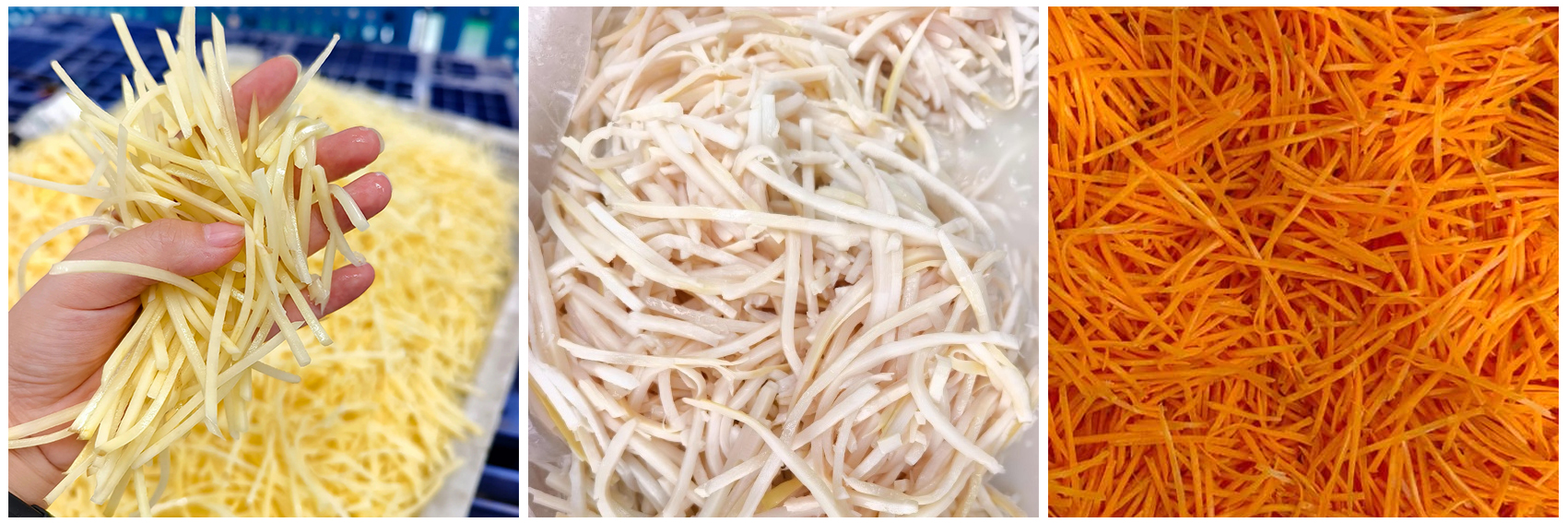 kn821-vegetable-shredding-machine-processing-effect