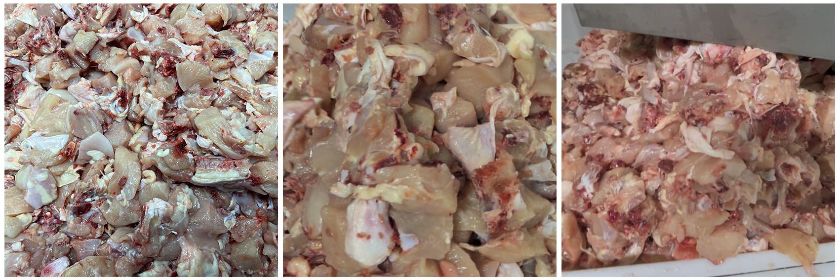 Industrial chicken cutter for food processing Chicken and duck cutting machine